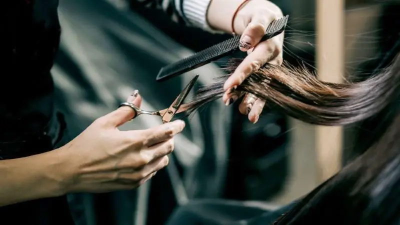 Regularly trim your hair to keep it neat and tidy!